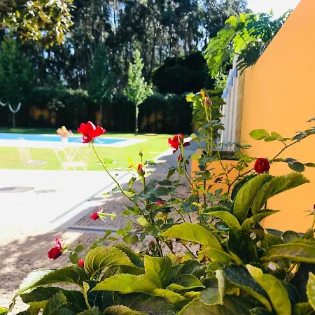 Filhos Da Terra