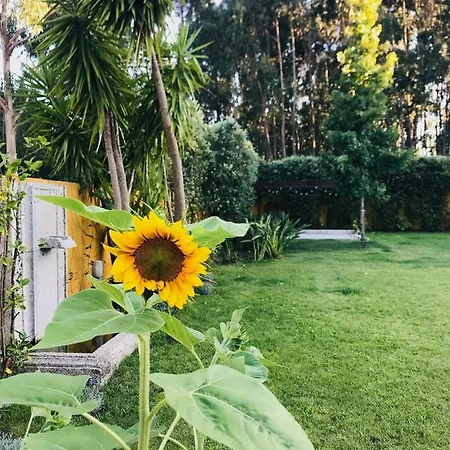Filhos Da Terra Casa di campagna *