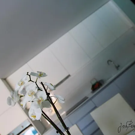 Filhos Da Terra *